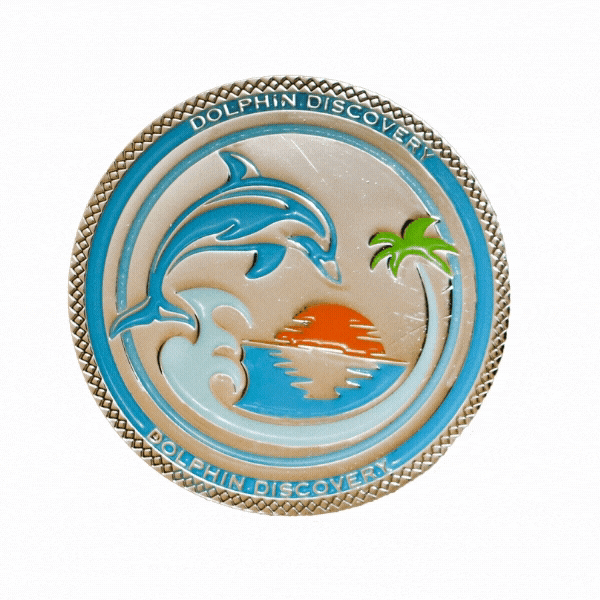 Dolphin Discovery Coin card image