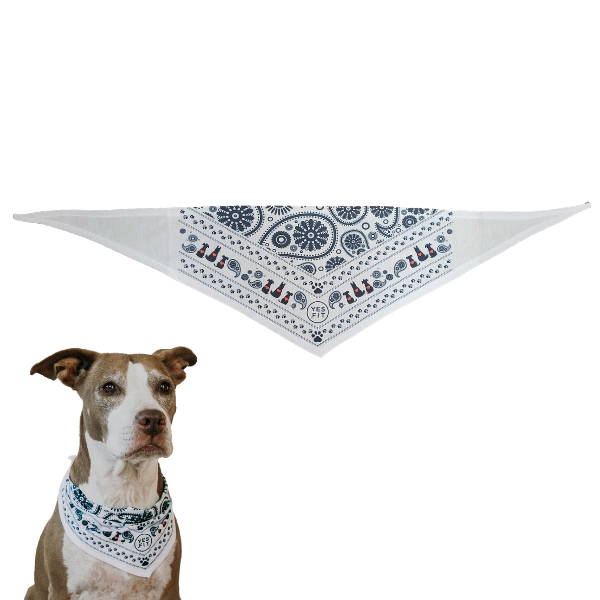 Yes.Fit Dog Scarf card image